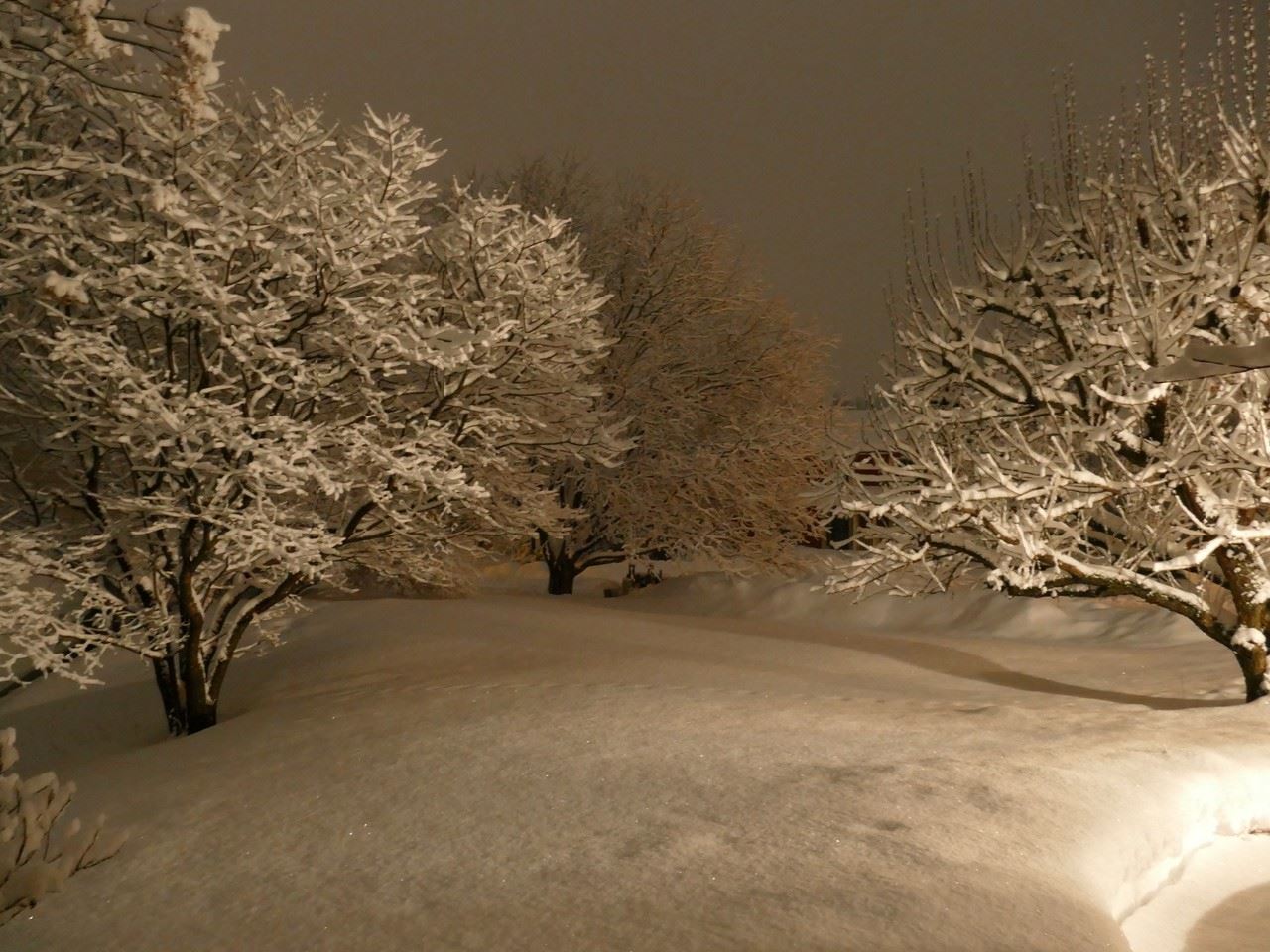 4) Snow World Winter Splendor Submitted by Christine Hall